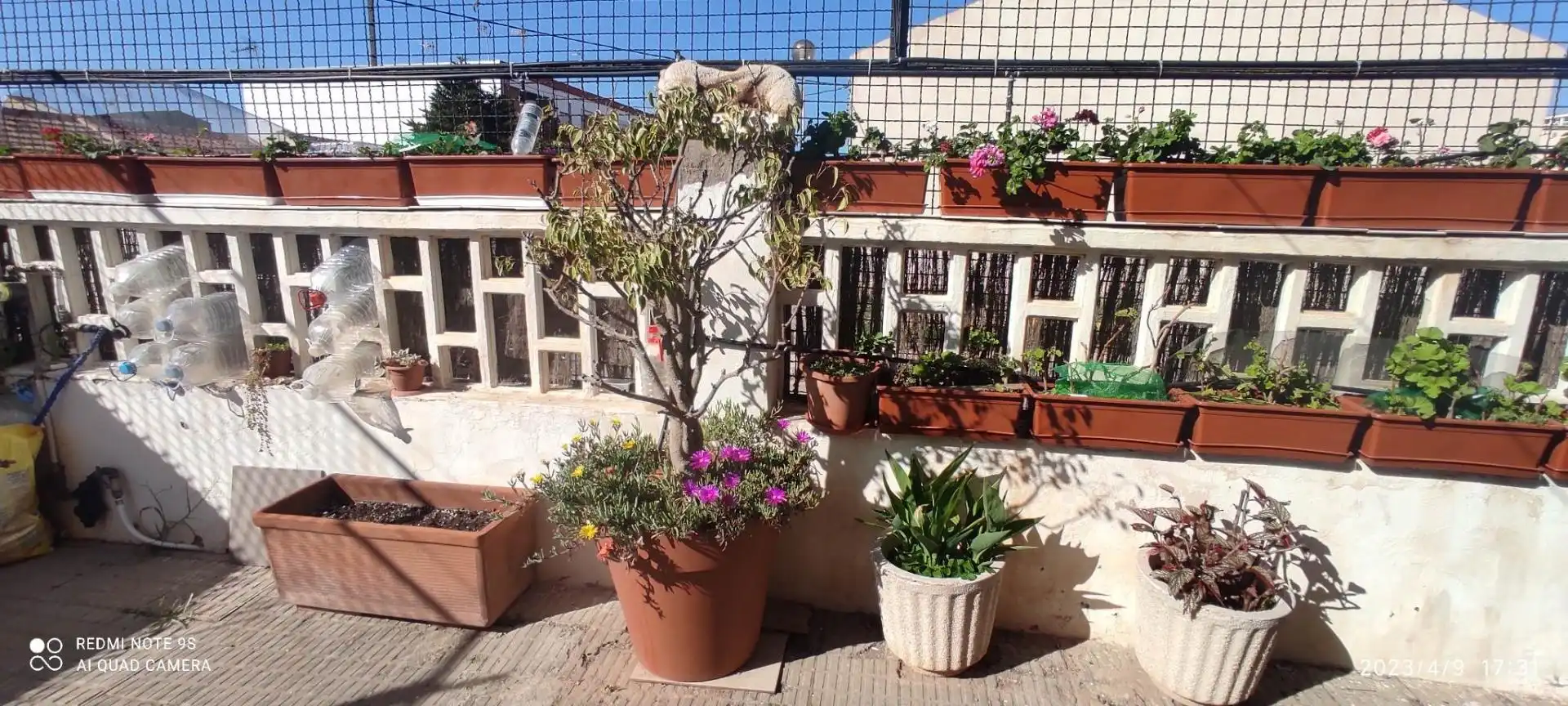 Erdgeschoss zum Verkauf in Calle Isla del Ciervo, 12, Los Nietos Terrasse von Erdgeschoss zum Verkauf in Cartagena mit Klimaanlage, Privatgarten und Abstellraum