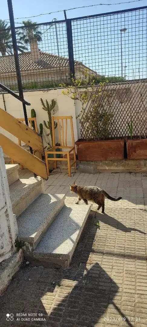 Erdgeschoss zum Verkauf in Calle Isla del Ciervo, 12, Los Nietos Außenansicht von Erdgeschoss zum Verkauf in Cartagena mit Klimaanlage, Privatgarten und Abstellraum
