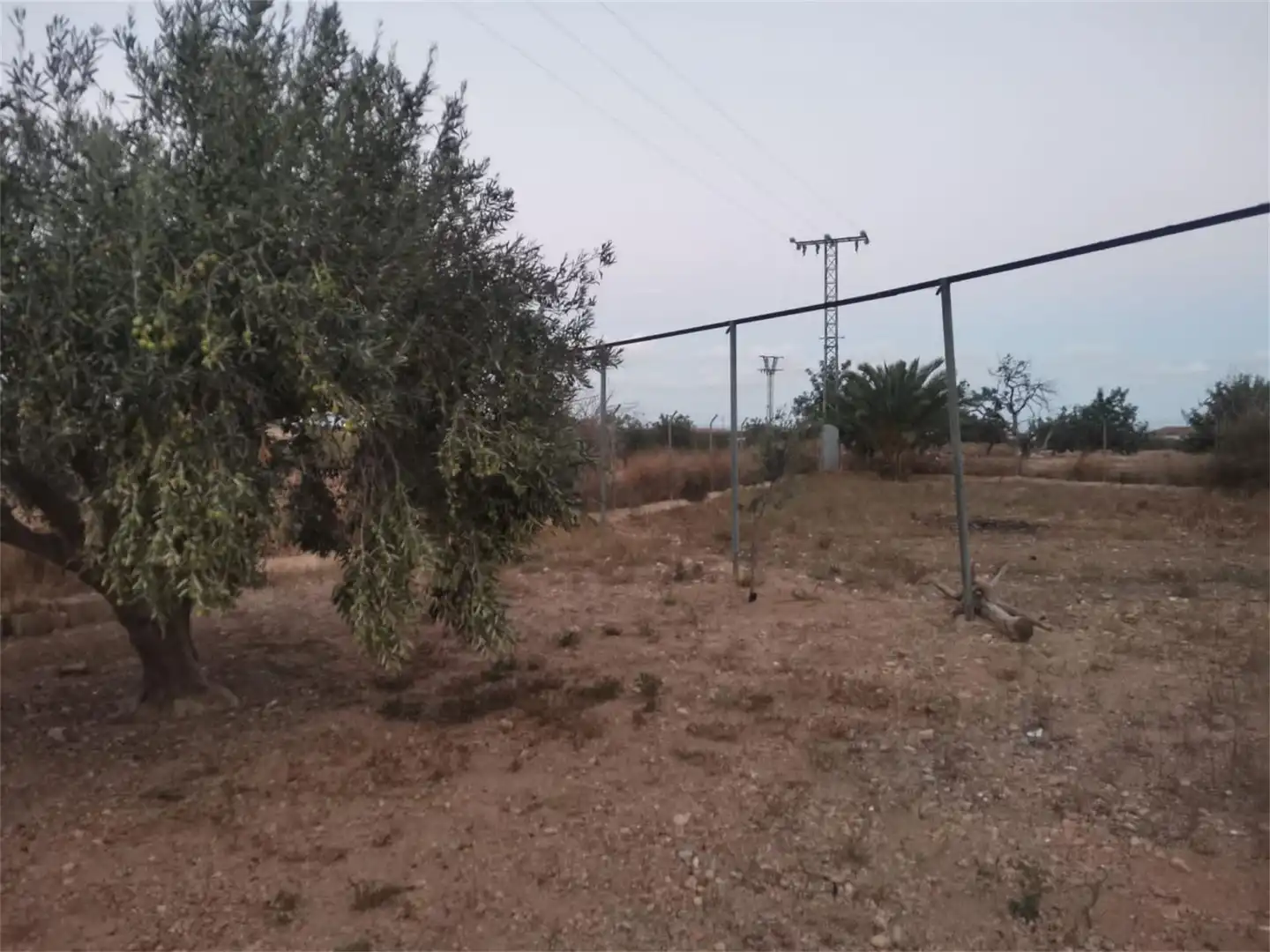 Finca rústica en venda a Plaza de la Iglesia, 17, Jerónimo y Avileses Finca rústica en venda en Murcia Capital