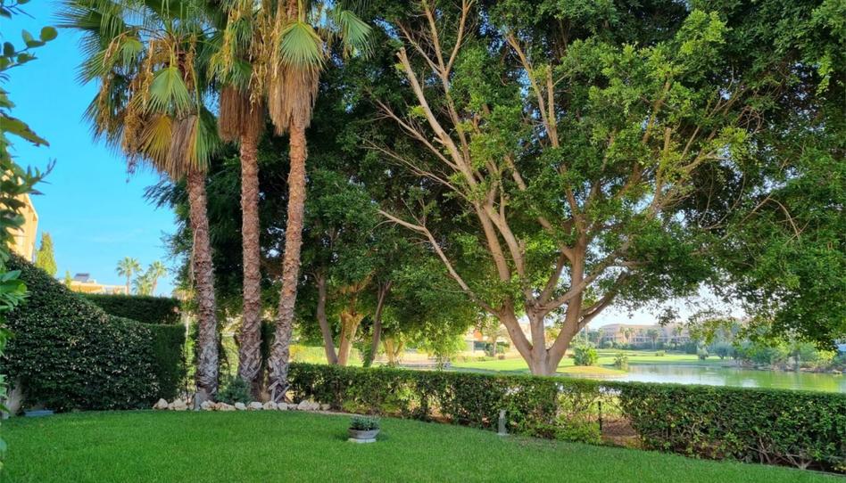 Pis de lloguer a Avenida Pintor Fernando Soria, 10, Alicante Golf, Alicante / Alacant - imatge 1 Foto 1 de Pis de lloguer a Avenida Pintor Fernando Soria, 10, Alicante Golf, Alicante / Alacant