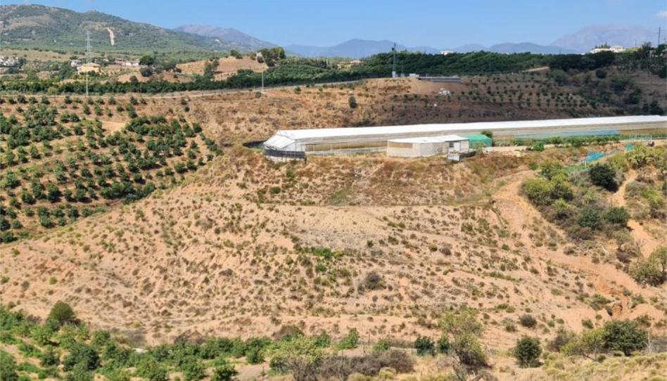 Finca rústica en venta en Calle Gerald Brenan, 44, Centro, Alhaurín El Grande - imagen 1 Foto 1 de Finca rústica en venta en Calle Gerald Brenan, 44, Centro, Alhaurín El Grande