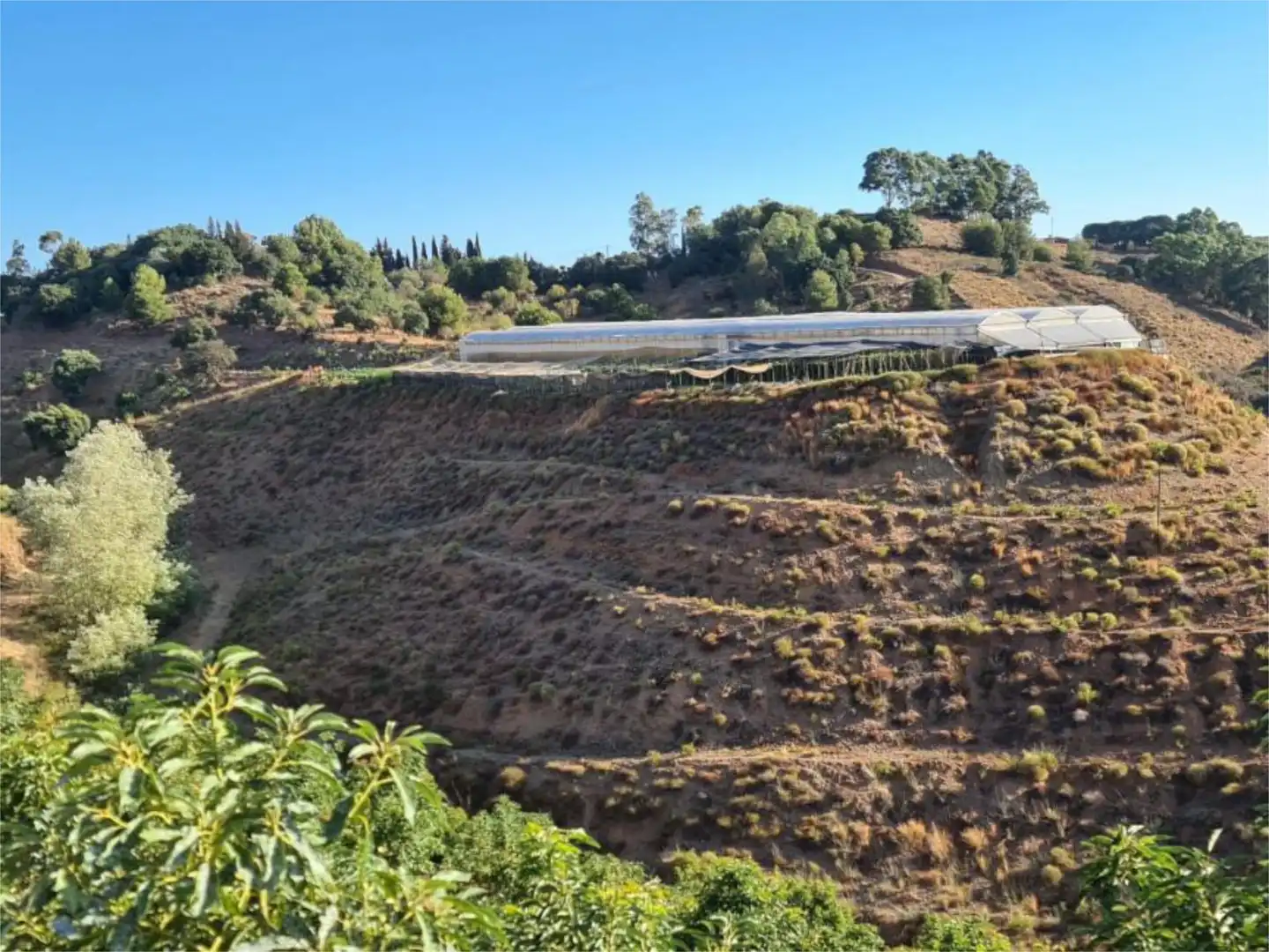 Finca rústica en venda a Calle Gerald Brenan, 44, Centro Jardí de Finca rústica en venda en Alhaurín El Grande
