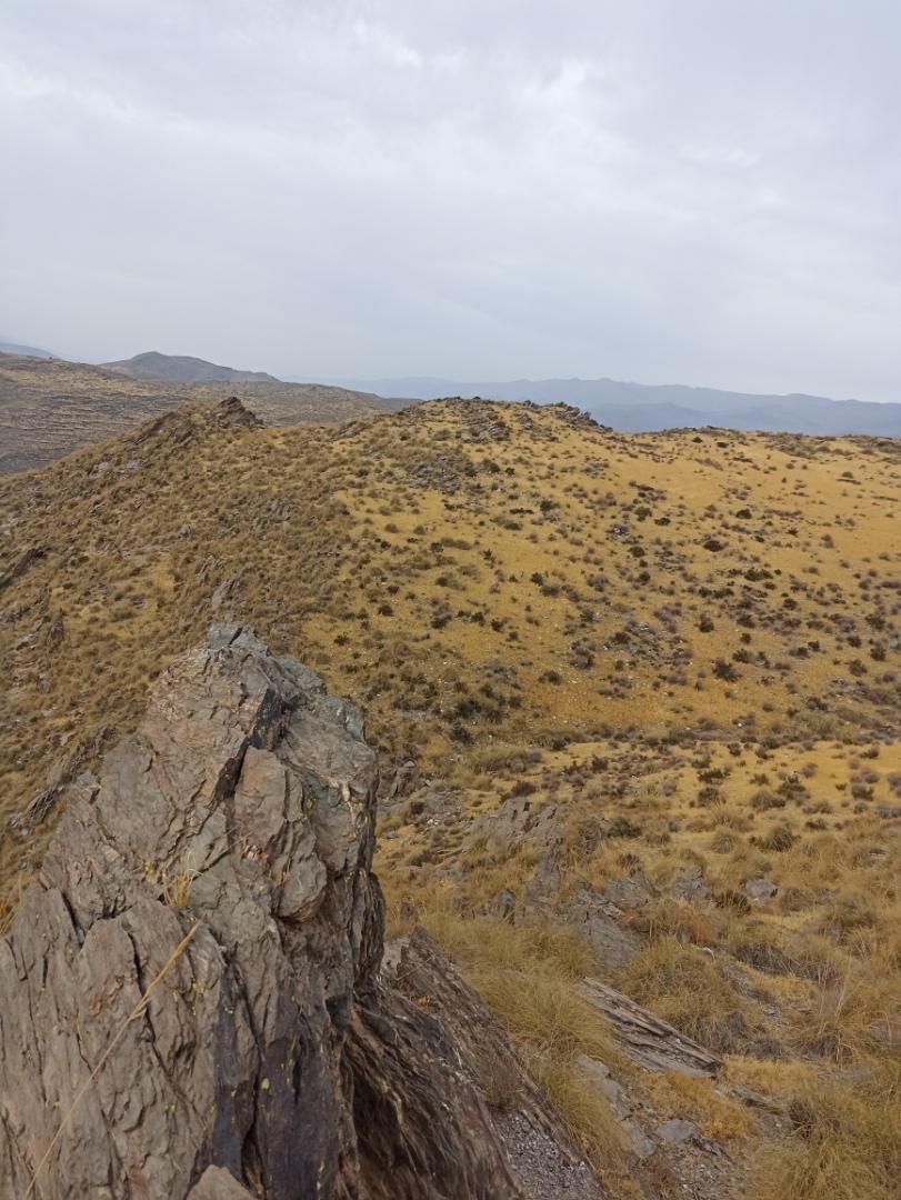 Non-constructible Land for sale in Gérgal