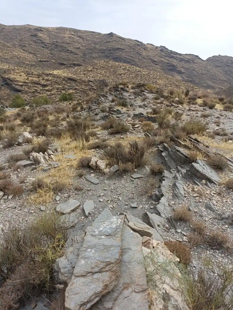 Non-constructible Land for sale in Calle Ollerias, 19, Gérgal Exterior view of Non-constructible Land for sale in Gérgal