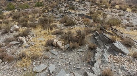 No Urbanizable en venta en Calle Ollerias, 19, Gérgal, Almería - imagen 3 Foto 3 de No Urbanizable en venta en Calle Ollerias, 19, Gérgal, Almería