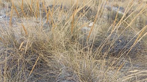 No Urbanizable en venta en Calle Ollerias, 19, Gérgal, Almería - imagen 5 Foto 5 de No Urbanizable en venta en Calle Ollerias, 19, Gérgal, Almería