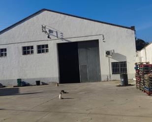 Vista exterior de Planta baixa de lloguer en Sariñena amb Aire condicionat