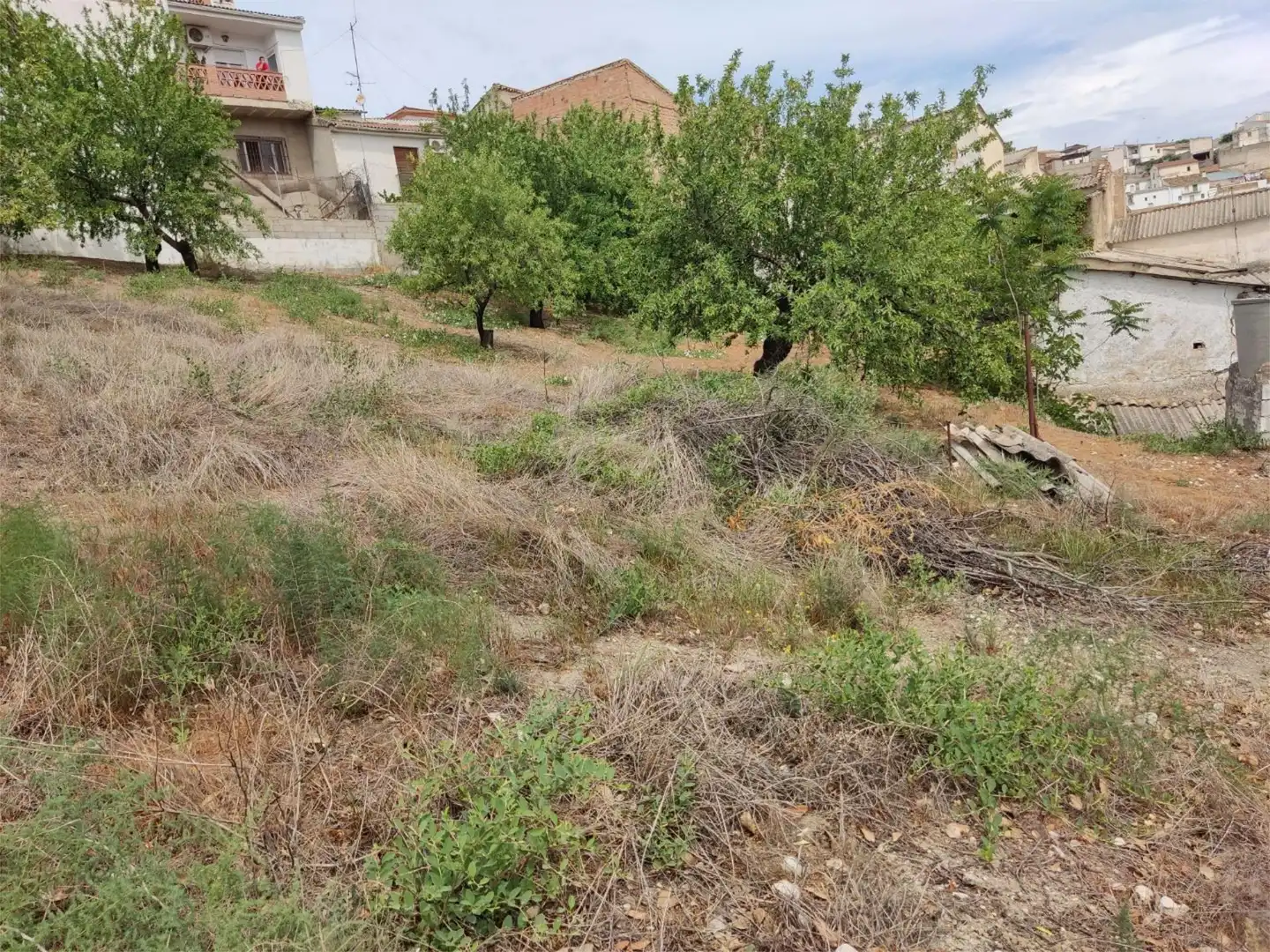 Terreno en venta en Colomera