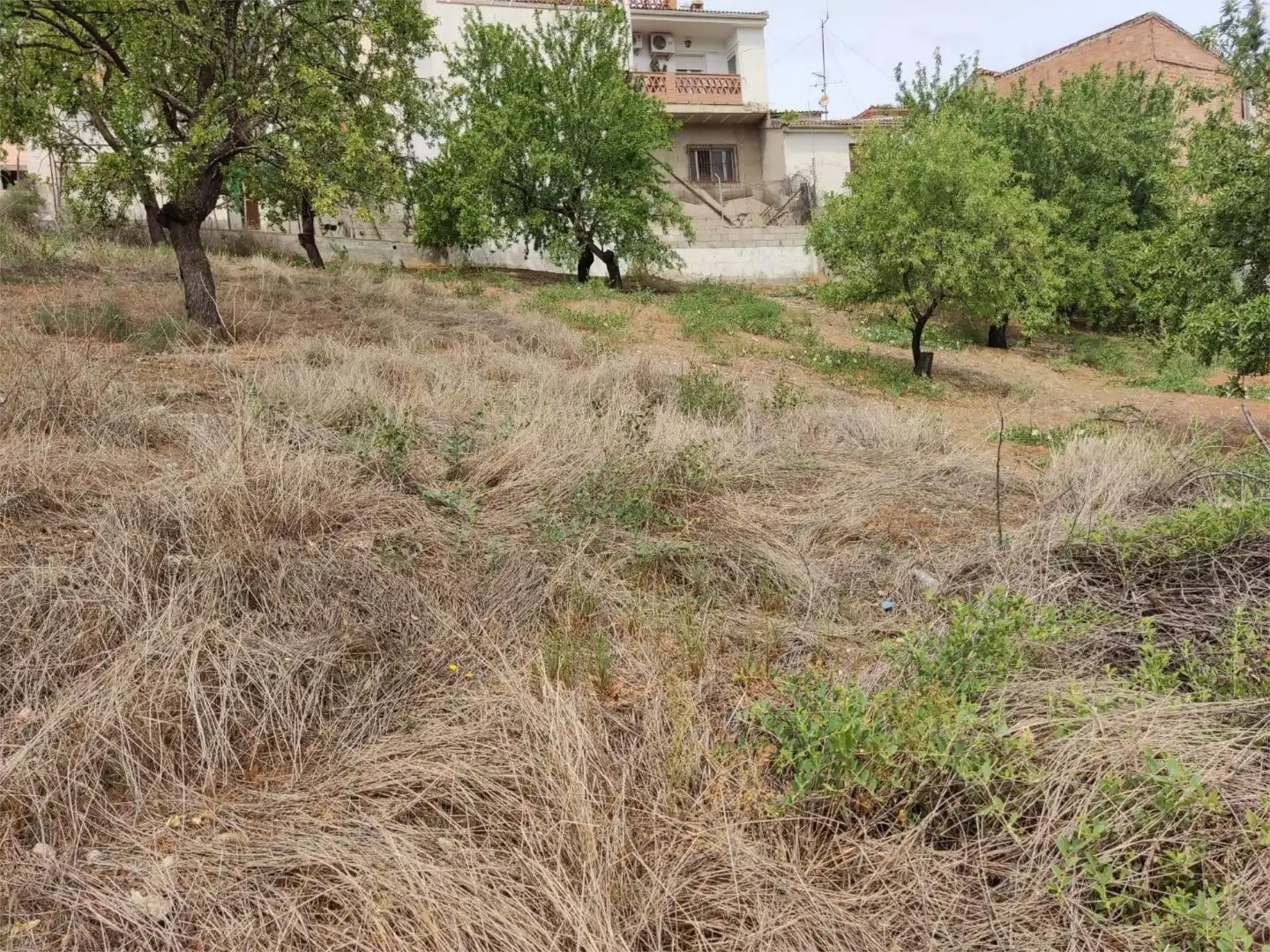 Terreno en venta en Colomera