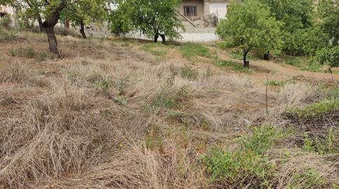 Terreno en venta en Calle Hierro, 28, Colomera, Granada - imagen 3 Foto 3 de Terreno en venta en Calle Hierro, 28, Colomera, Granada