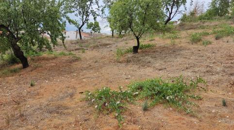 Terreno en venta en Calle Hierro, 28, Colomera, Granada - imagen 4 Foto 4 de Terreno en venta en Calle Hierro, 28, Colomera, Granada