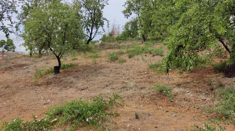 Terreno en venta en Calle Hierro, 28, Colomera, Granada - imagen 5 Foto 5 de Terreno en venta en Calle Hierro, 28, Colomera, Granada