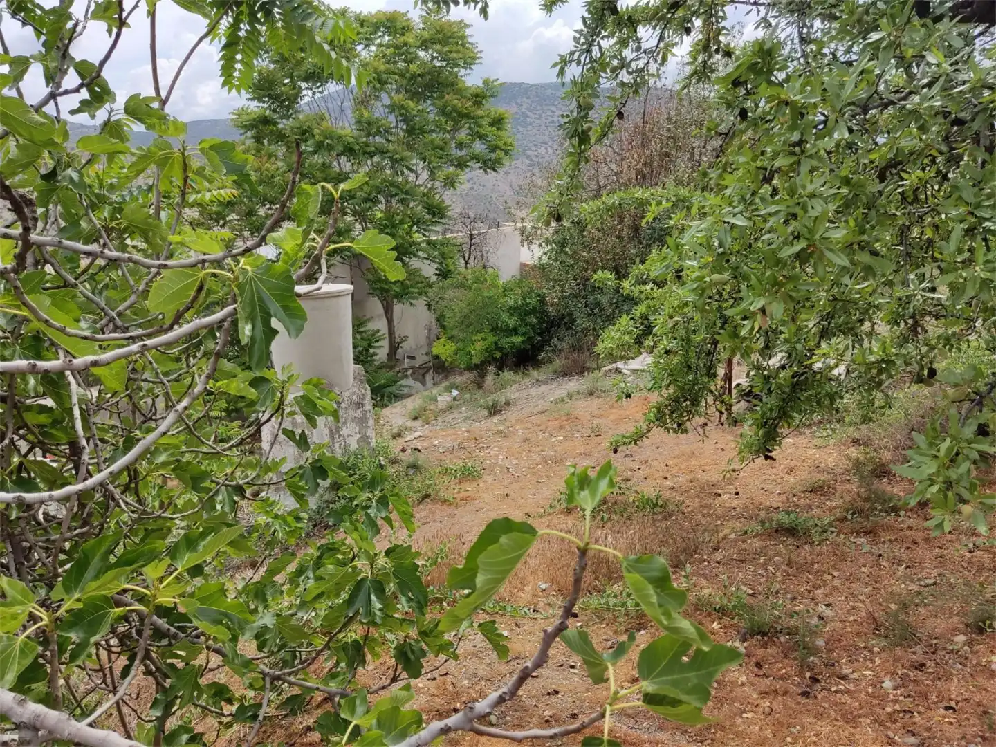 Terreno en venta en Colomera