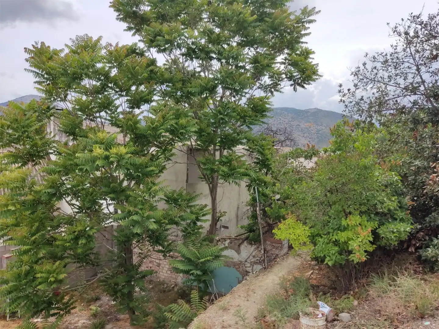 Terreno en venta en Colomera