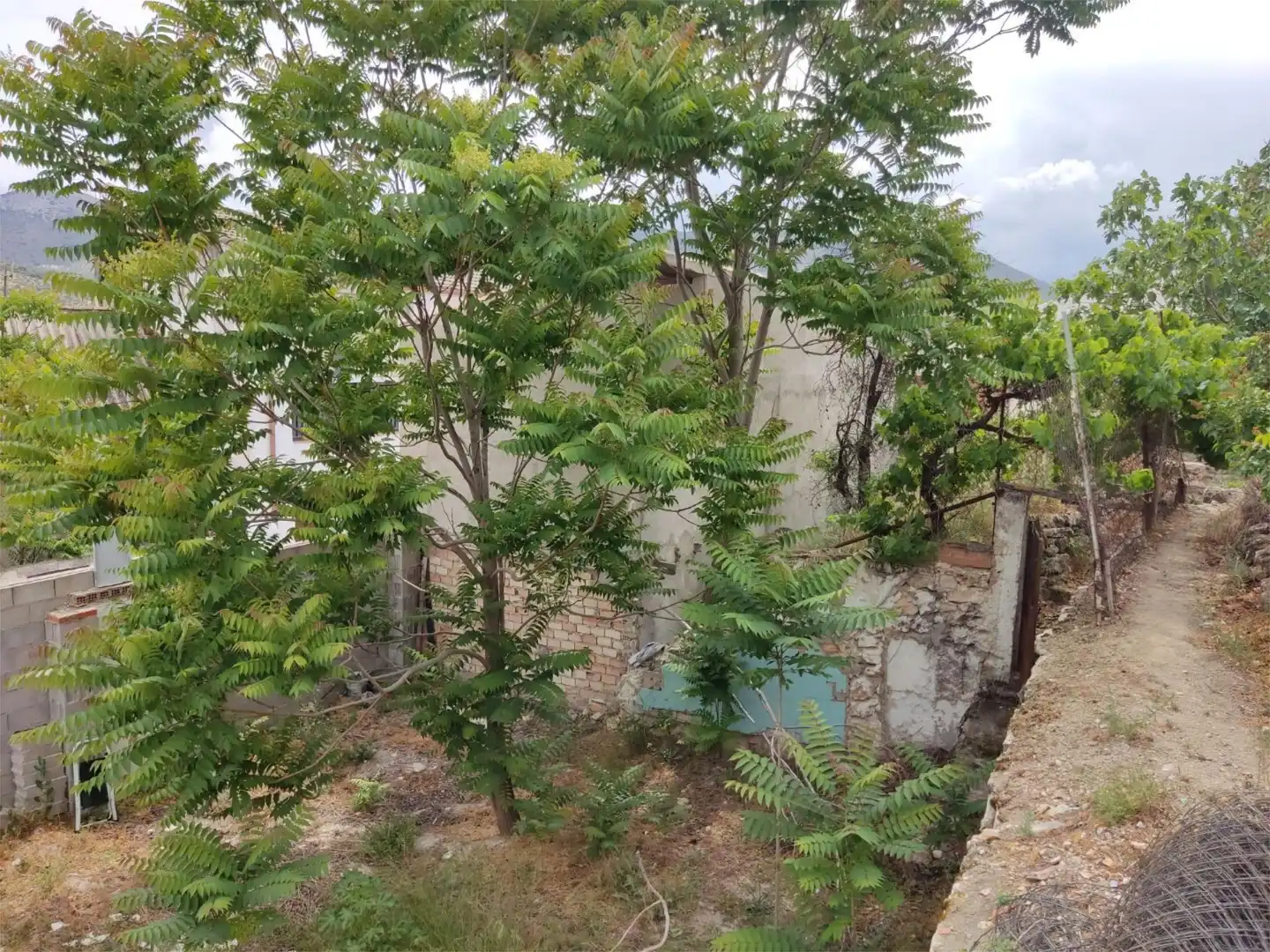 Terreno en venta en Colomera