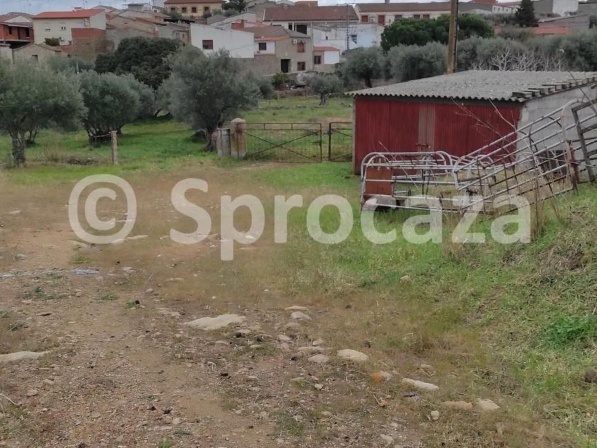 Terreno en venta en Lagartera