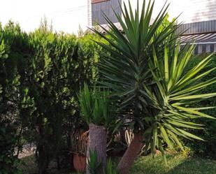 Jardí de Casa adosada de lloguer en Canet d'En Berenguer amb Terrassa, Piscina i Balcó