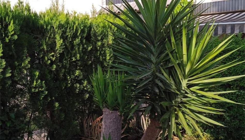 Photo 1 of Single-family semi-detached to rent in Carrer Oriente, 35, Canet d'En Berenguer, Valencia