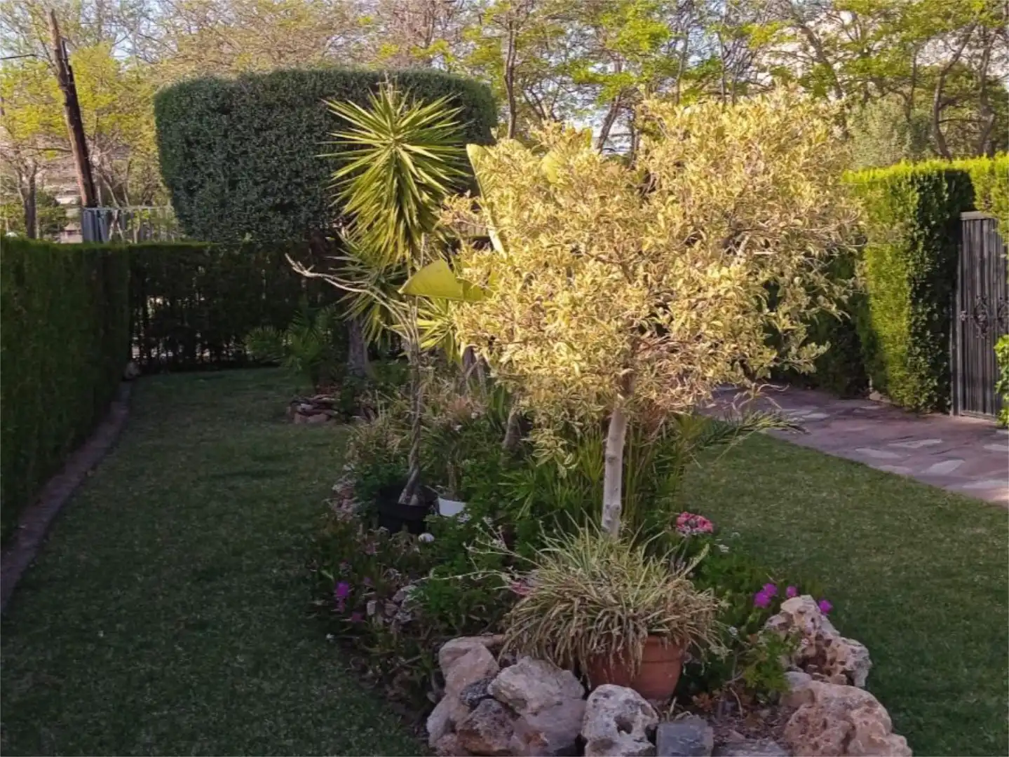 Jardín de Casa adosada de alquiler en Canet d'En Berenguer con Calefacción, Jardín privado y Terraza