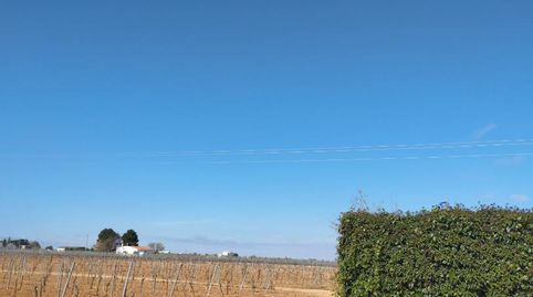 Foto 2 de Finca rústica en venta en Villarrobledo, Albacete