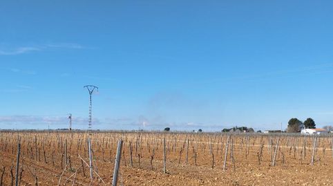 Foto 4 de Finca rústica en venta en Villarrobledo, Albacete