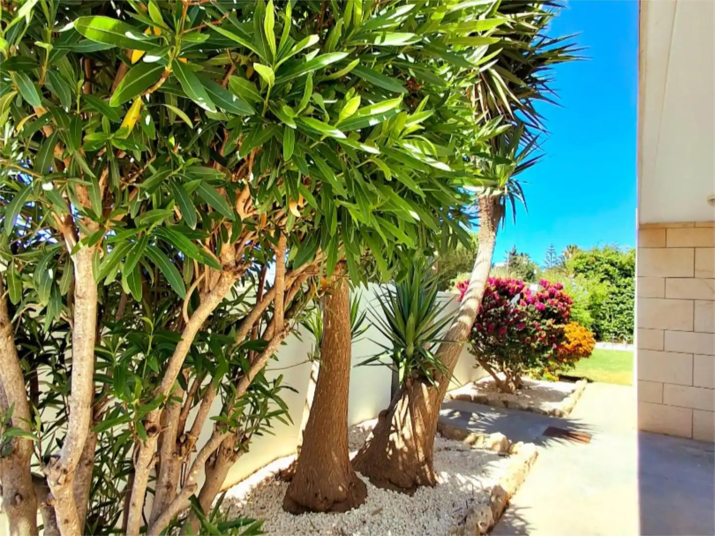 Houses for sale in Calle Toledo, 30, Conil Exterior view of Houses for sale in Conil de la Frontera with Terrace, Swimming Pool and Balcony