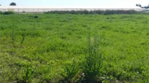 Photo 5 of Land for sale in Lugar Pago Copina, 142, Chipiona Norte, Chipiona