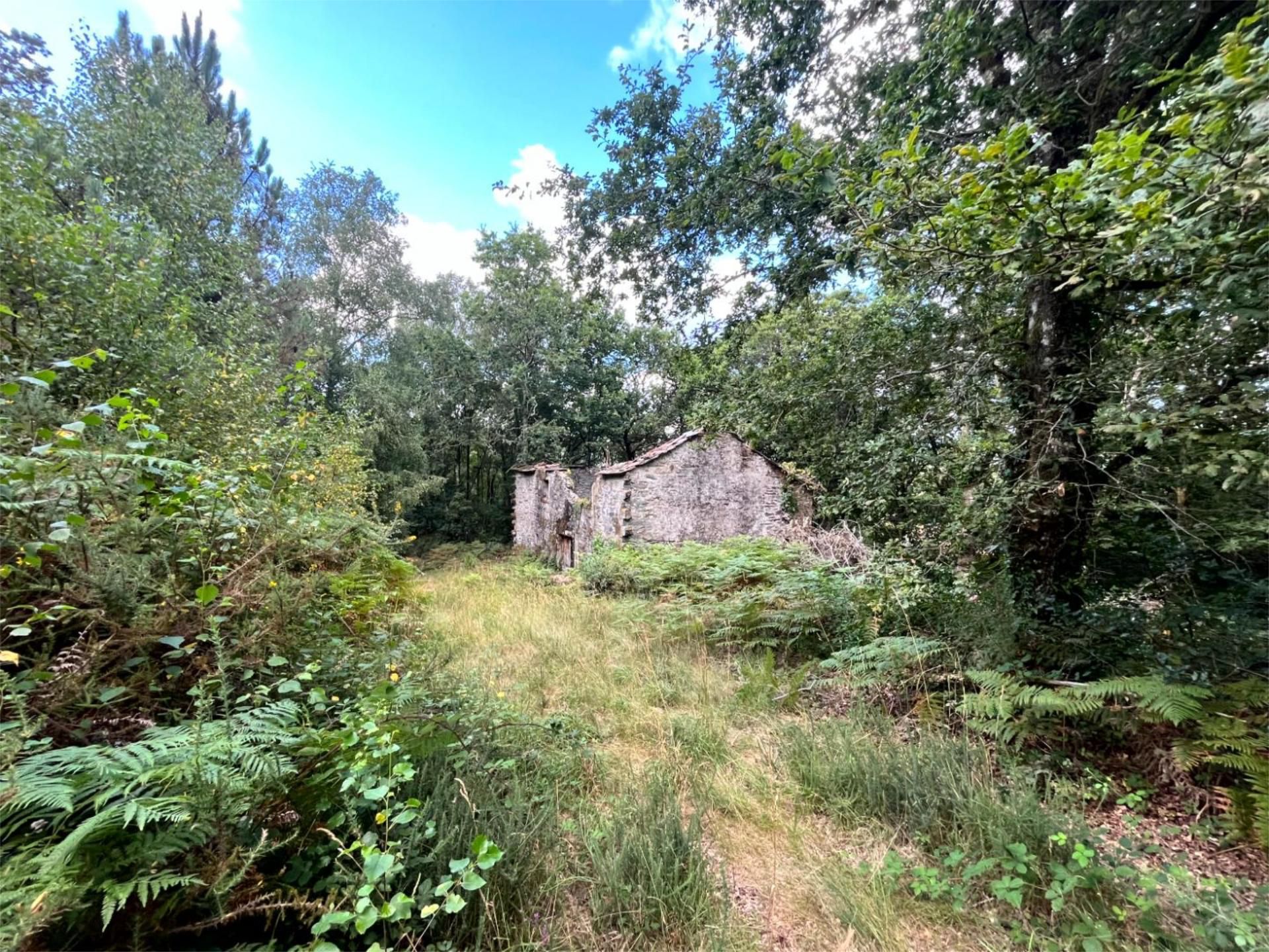 Finca rústica en venta en Forcarei con Jardín privado y Terraza