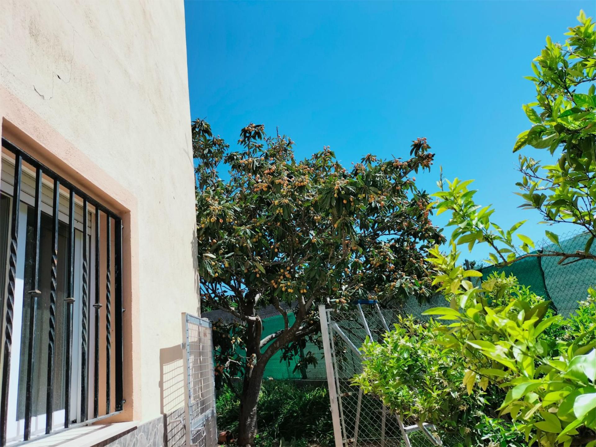 Garden of House or chalet for sale in Càrcer  with Heating, Private garden and Terrace