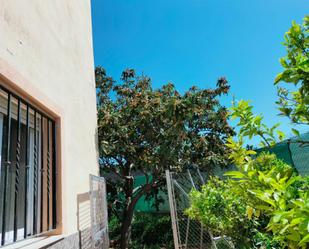 Garden of House or chalet for sale in Càrcer  with Terrace, Swimming Pool and Balcony