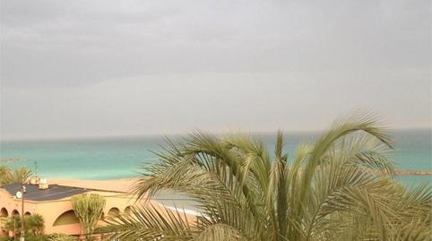 Flat to rent in Street Avenida Ferrandis Salvador, 128, Els Terrers, Castellón - image 4 Photo 4 of Flat to rent in Street Avenida Ferrandis Salvador, 128, Els Terrers, Castellón