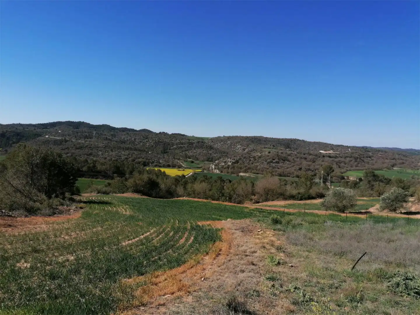 Land for sale in Carretera de Calaf, 46, Torà Land for sale in Torà