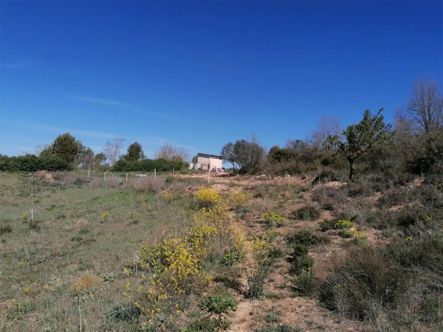 Land for sale in Carretera de Calaf, 46, Torà Land for sale in Torà