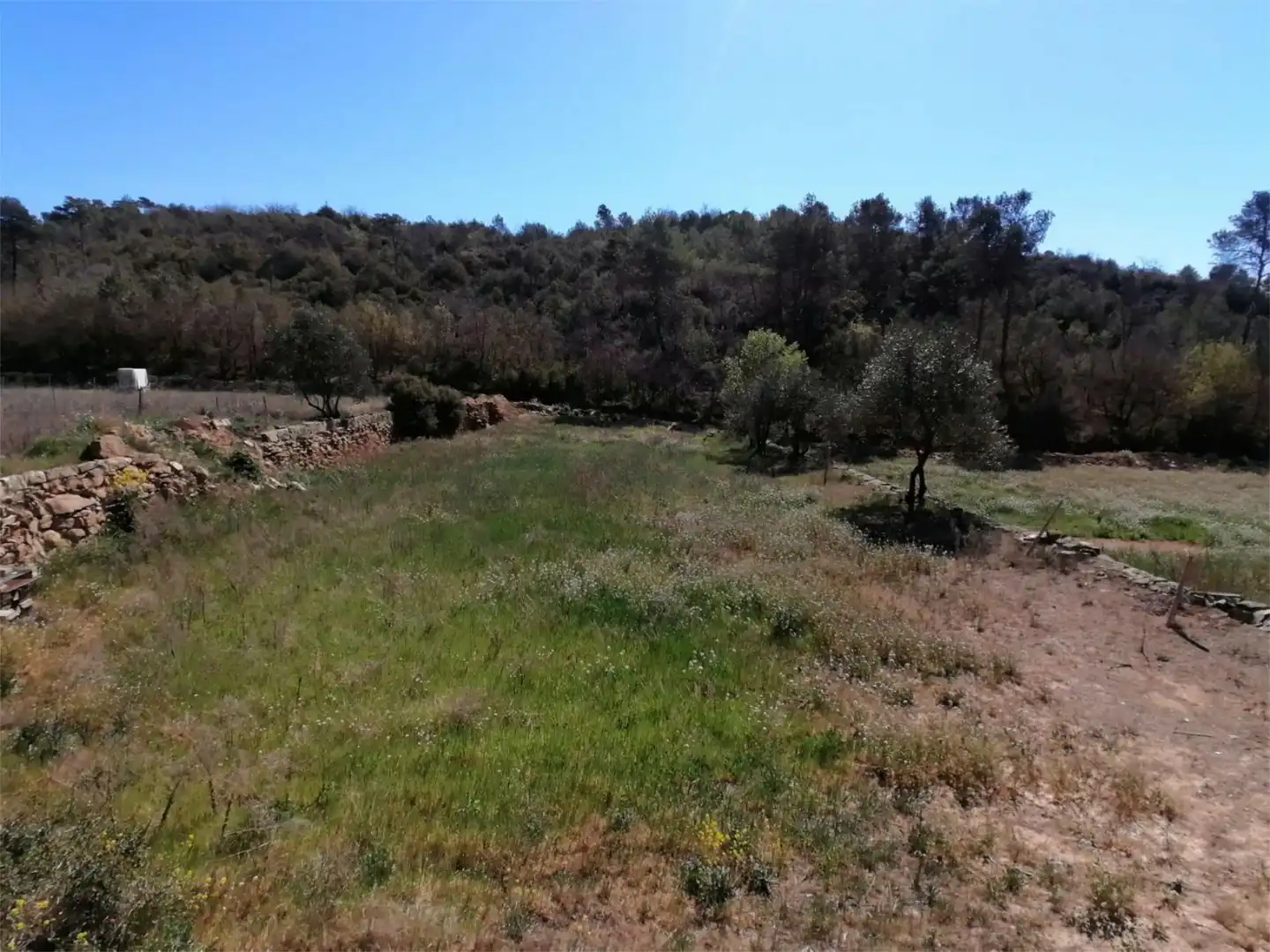 Land for sale in Carretera de Calaf, 46, Torà Land for sale in Torà
