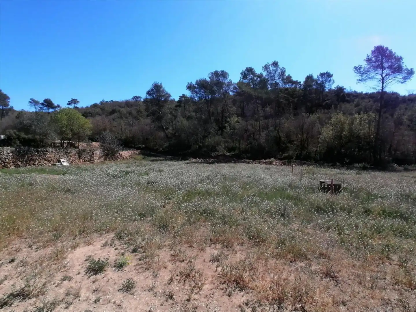Land for sale in Carretera de Calaf, 46, Torà Land for sale in Torà