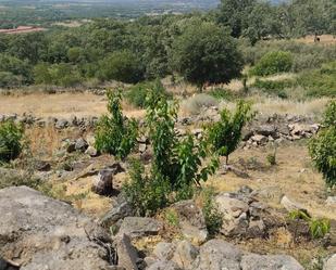 Finca rústica en venda en Pasarón de la Vera