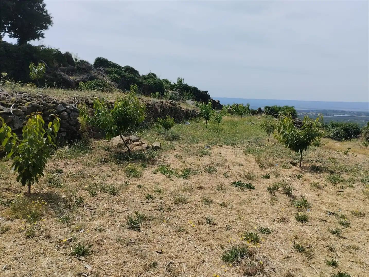 Finca rústica en venta en Calle María de Luna, 1, Pasarón de la Vera Finca rústica en venta en Pasarón de la Vera