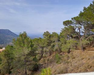 Land for sale in Segart