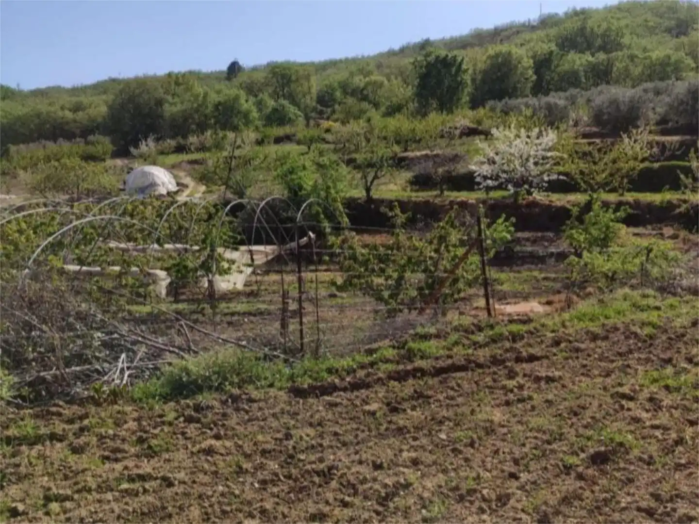 Urbanizable en venta en Cuacos de Yuste Urbanizable en venta en Cuacos de Yuste