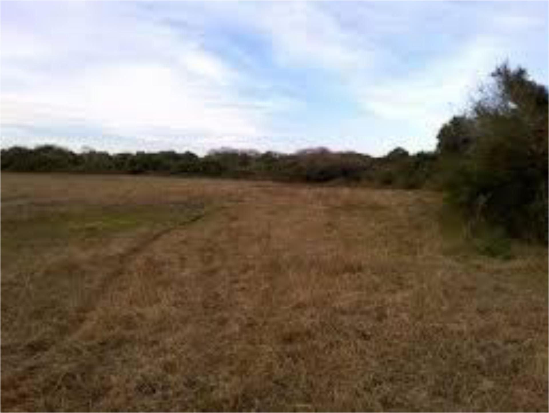 Exterior view of Country house to rent in Paredes de Escalona