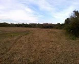 Exterior view of Country house to rent in Paredes de Escalona