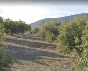 Land for sale in La Guardia de Jaén