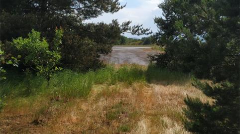 Photo 5 of Land for sale in Rua Vilariño Das Poldras, 70, Sandiás, Ourense