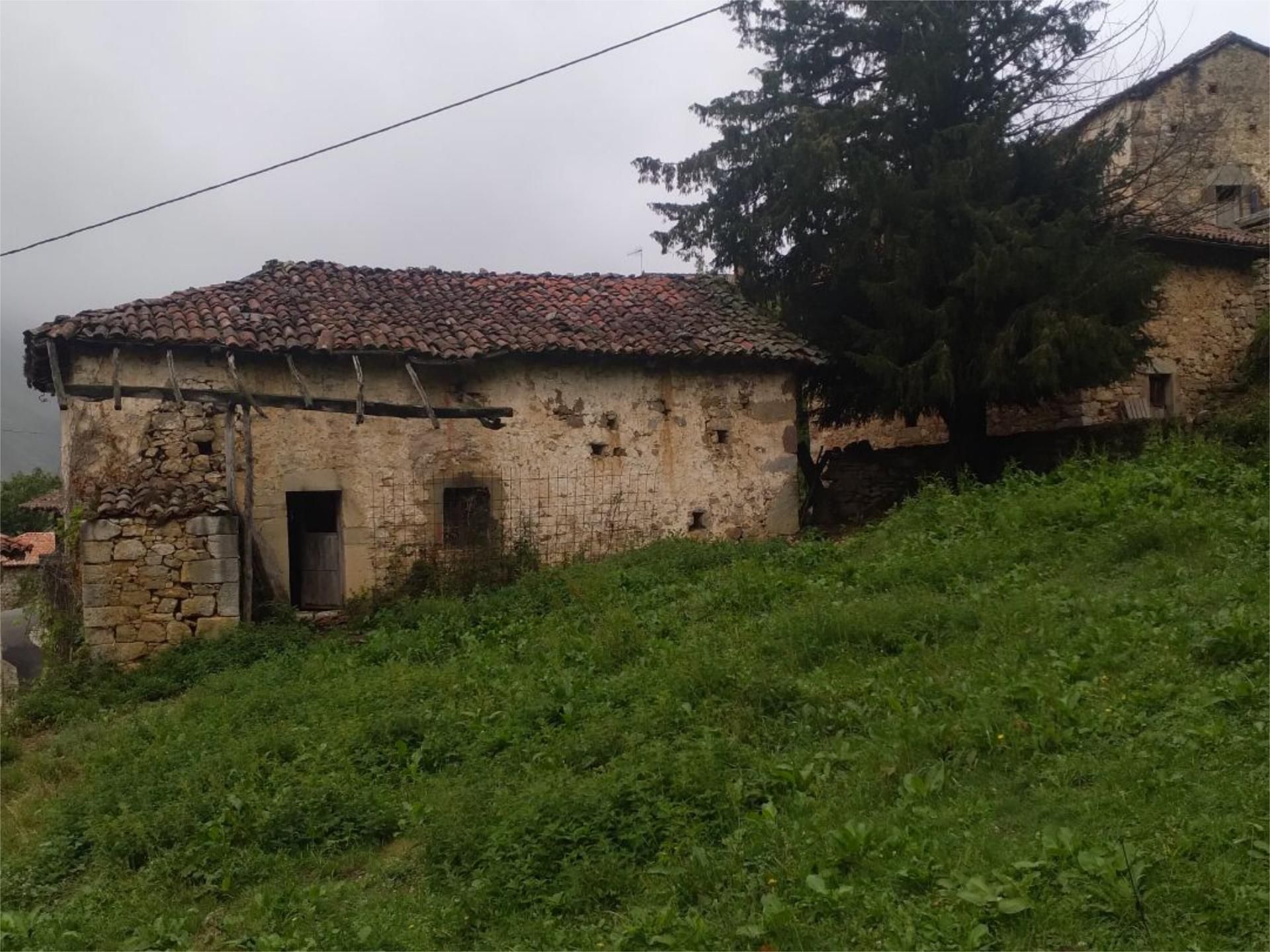 Vista exterior de Finca rústica en venta en Somiedo