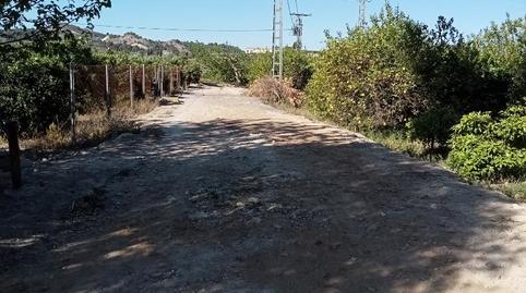 Foto 3 de Finca rústica en venda a Vi el Manantial, 11, Jacarilla, Alicante