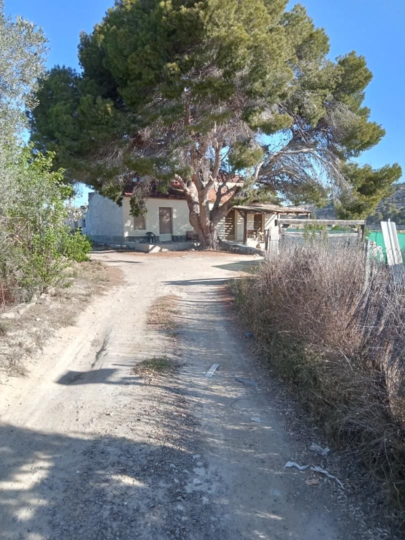 Vista exterior de Finca rústica en venda en Jacarilla amb Terrassa i Traster