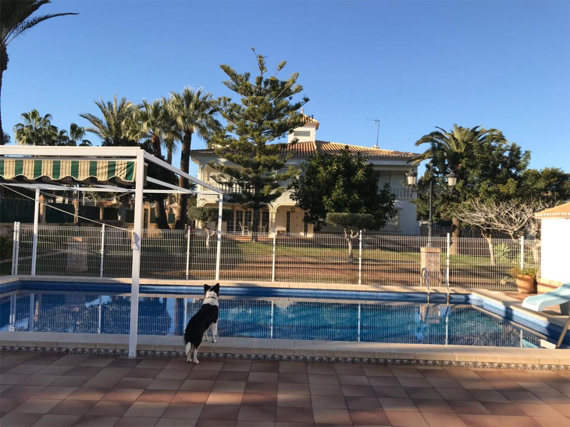House or chalet for sale in Calle la Quilla, 20, Cabo Roig Swimming pool of House or chalet for sale in Orihuela with Air Conditioner, Terrace and Swimming Pool