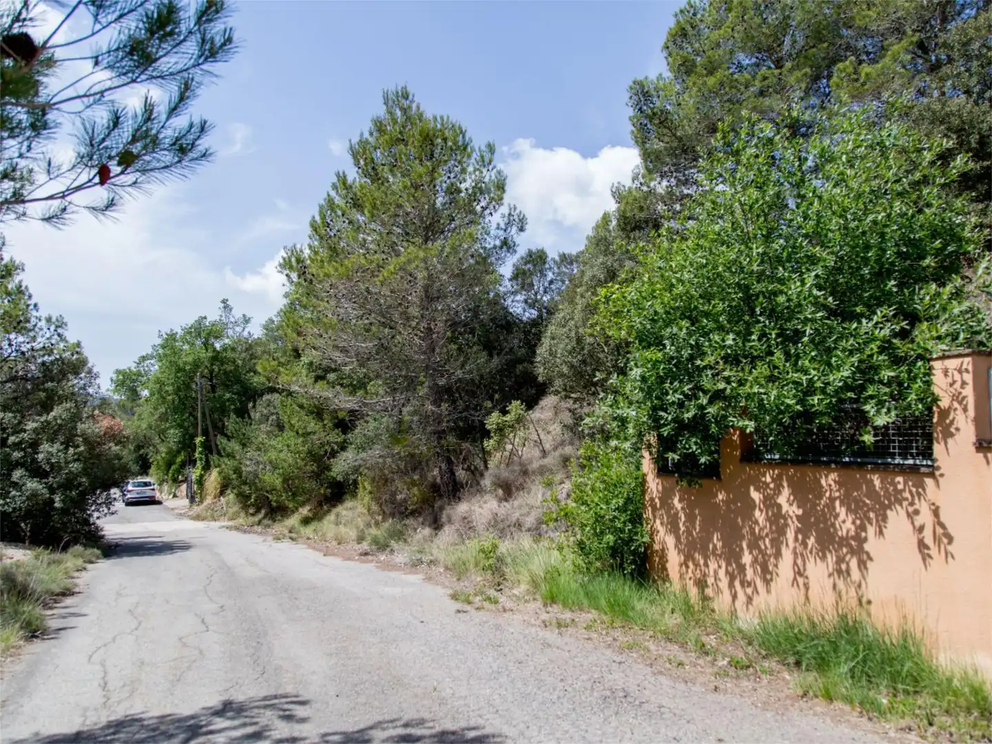 Terreno en venta en Carrer Ginesta, 29, Mont-ral Terreno en venta en Mont-ral