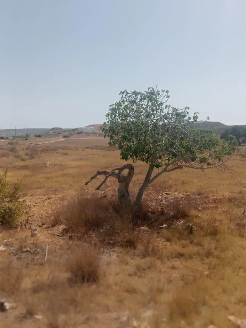 Terreno en venta en Calle Lucainena, 9, Aguamarga Terreno en venta en Níjar