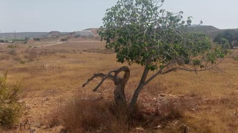 Foto 2 de Terreno en venta en Calle Lucainena, 9, Aguamarga, Almería